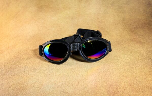 Dog Riding Glasses
