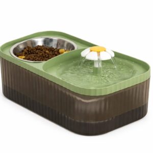 Food and water dispenser