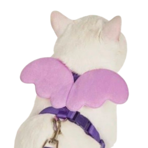 Butterfly Wings Cat Harness