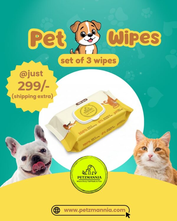 Set of 3 Pet Wipes