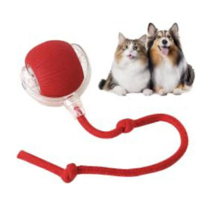 Rolling ball for pets