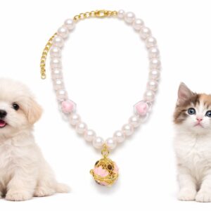 Pet Keepsake Necklace