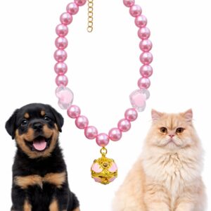 Pet Companion Necklace