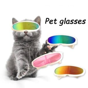 Pet Sunglasses