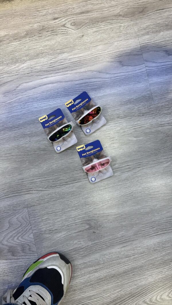 Pet Sunglasses