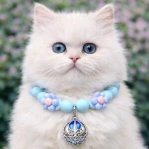 Pet Collection Necklace