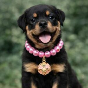 Pet Detail Necklace