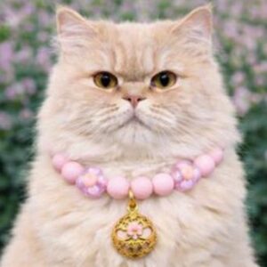 Pet Companion Necklace