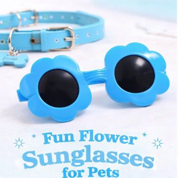 Blue Flower Sunglasses