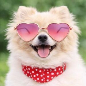 Pink Heart Sunglasses