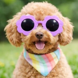 Purple Flower Sunglasses