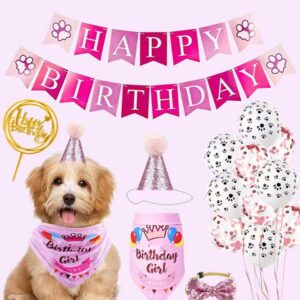 Pet Birthday Accessories
