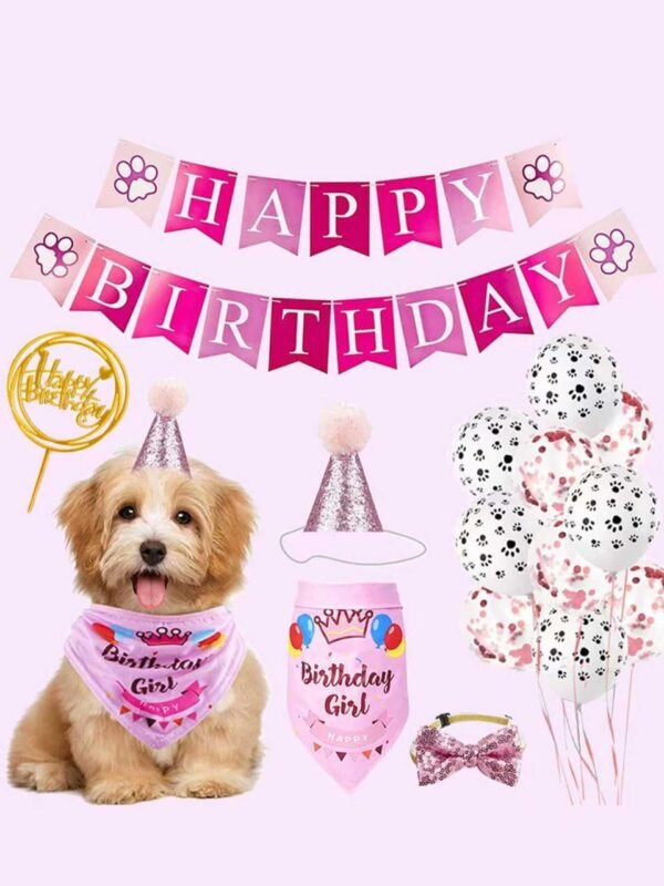 Pet Birthday Accessories
