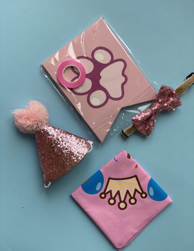 Pet Birthday Accessories