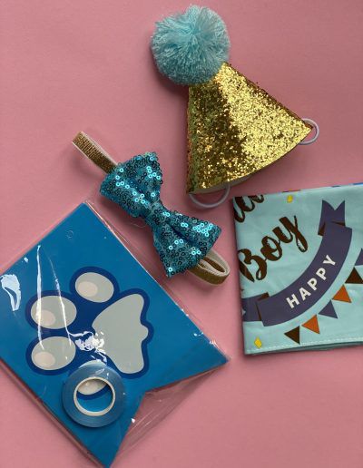 Pet Birthday Accessories