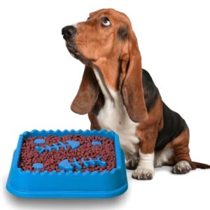 Puzzle Feeder