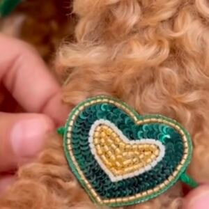 Paws & Threads Rakhi