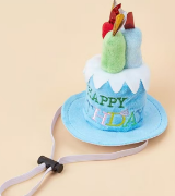 Birthday Cake Pet Hat