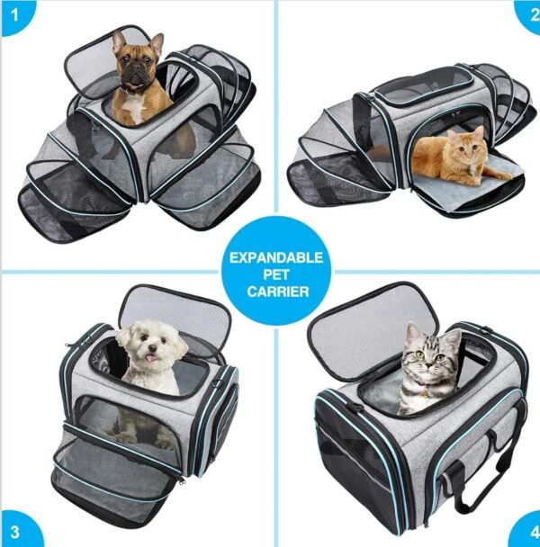 Expandable Airline-Approved Pet Carrier